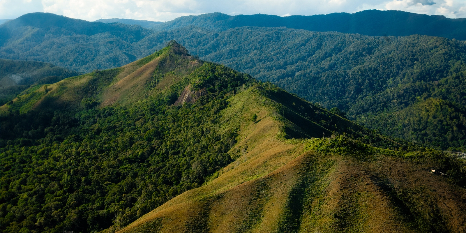 Last Stand to Save Imperiled Forest in Madagascar