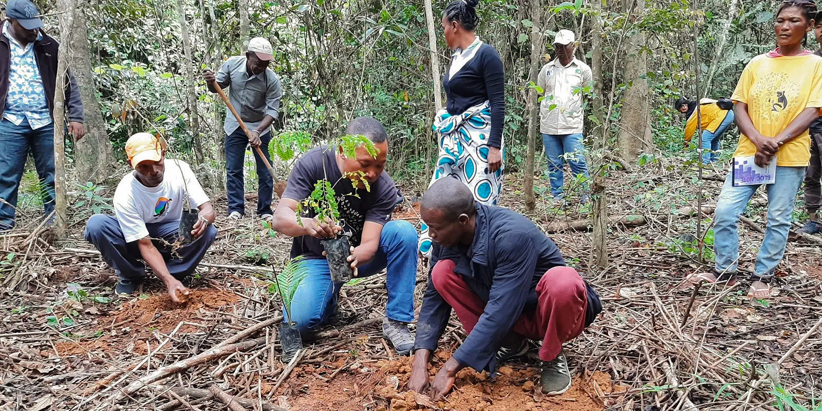 Last Stand To Save Imperiled Forest In Madagascar