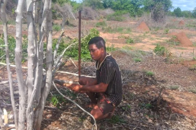 Avisoa’s Journey: From Deforestation to Dignity in Madagascar