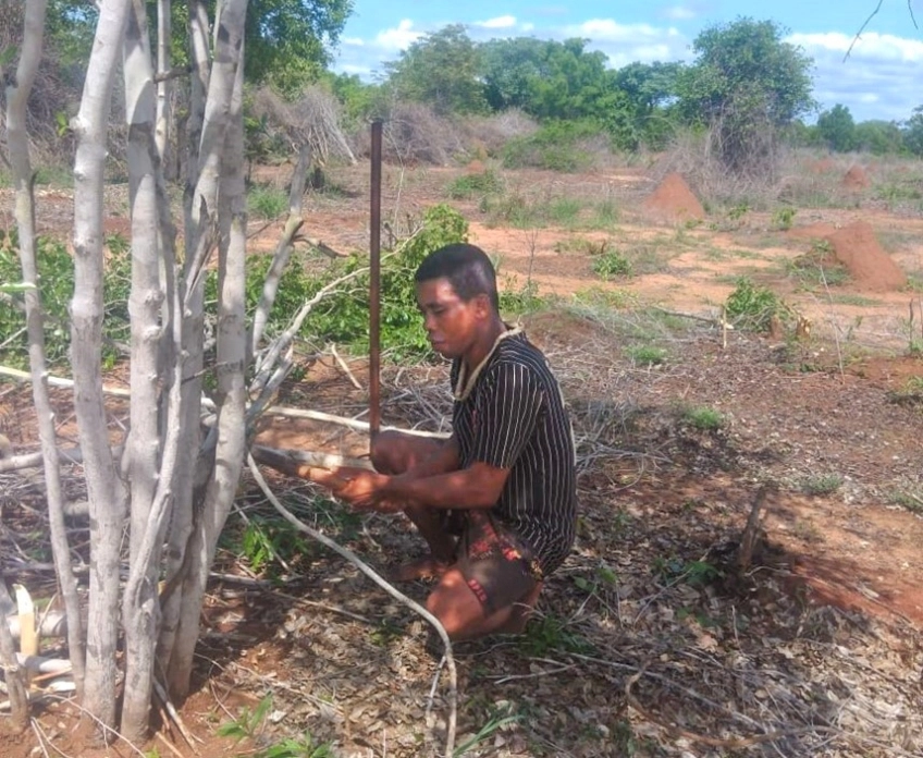 Avisoa’s Journey: From Deforestation to Dignity in Madagascar