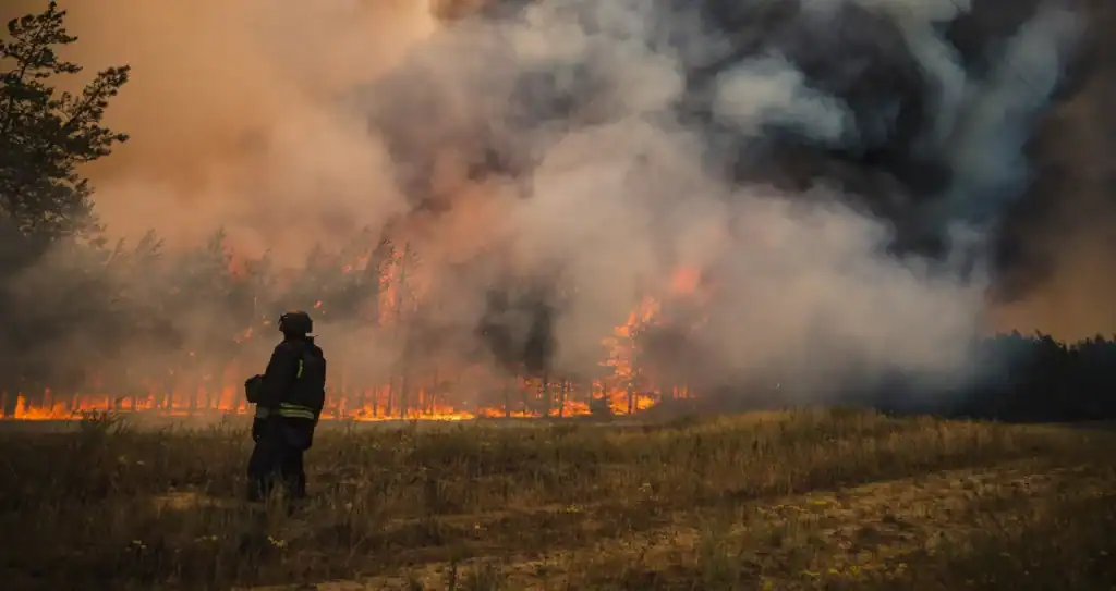 Forest fire in Donetsk Oblast after Russian shelling