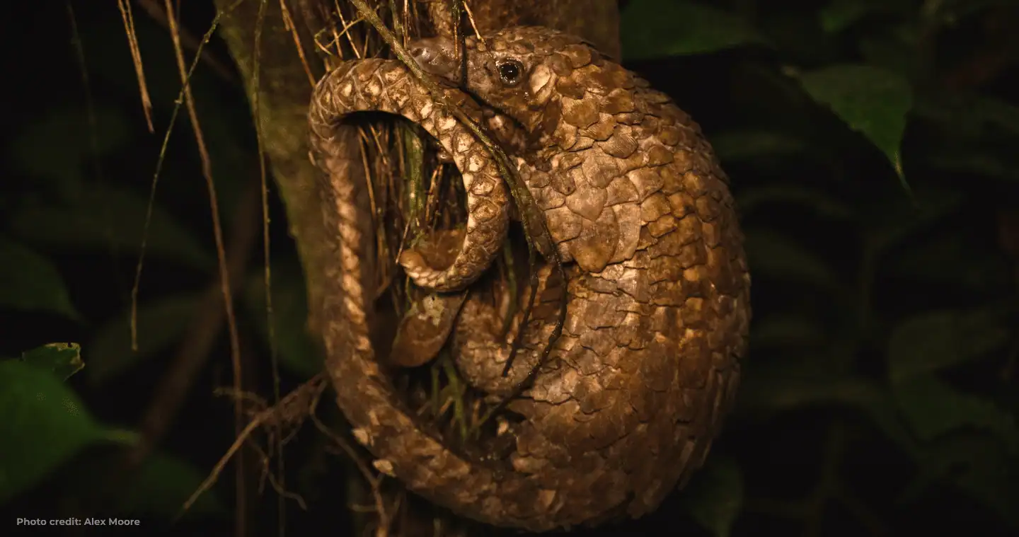 Build Nigeria’s Next Generation of Conservation Scientists